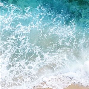 Meet your Posher, Bailey